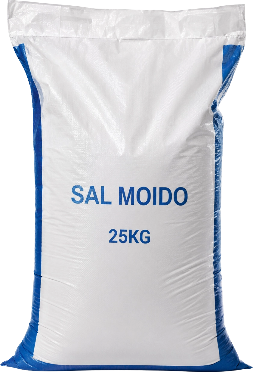 Sal Moído